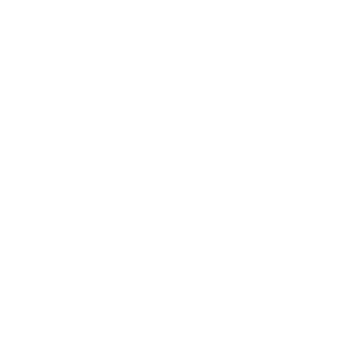 Instagram white icon